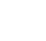 Logo 51 Ice